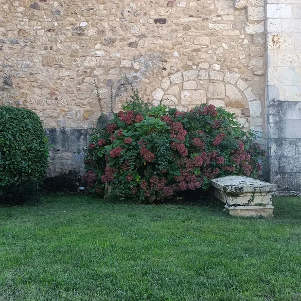 Saint Sauveur de Bergerac (13)