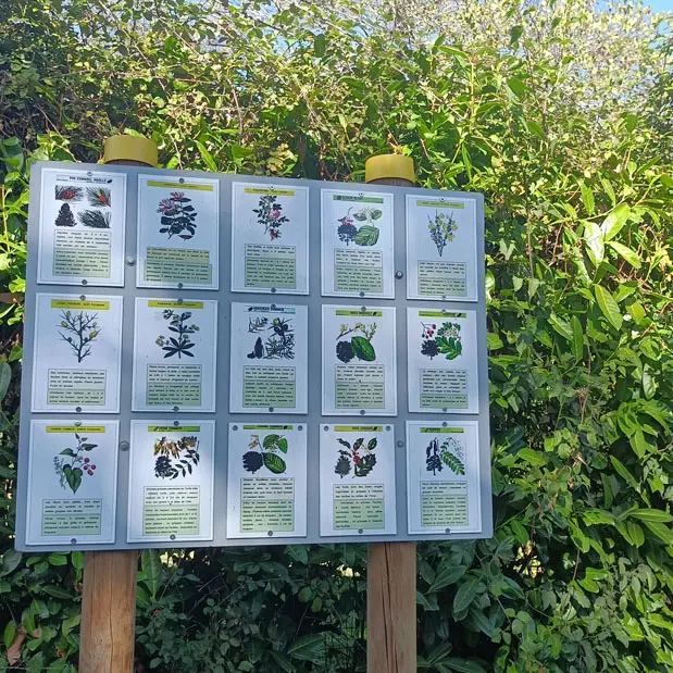 Saint Sauveur de Bergerac (19)