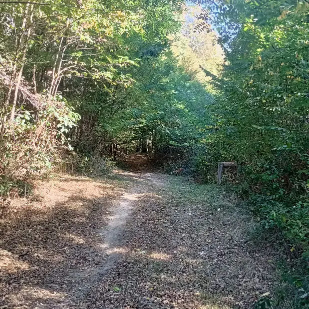 Saint Sauveur de Bergerac (23)