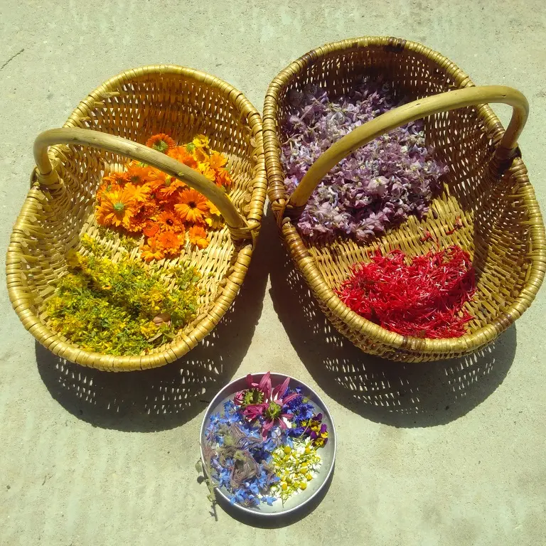 Un joli panier coloré