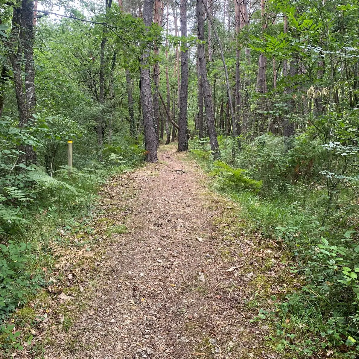 Sur les pas de Piafou Notre Dame de Sanilhac
