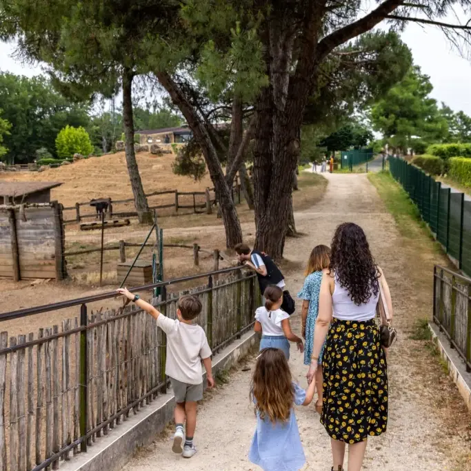 balade-en-famille-thot-fs6a8687-shooting-famille-we-like-travel-semitour-juillet-2025declicdecolle-1024x683