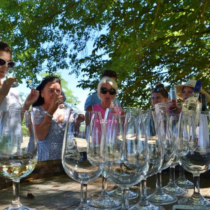 bergeracwinetours_Panisseau