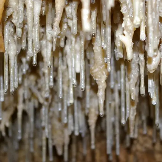 grotte domme