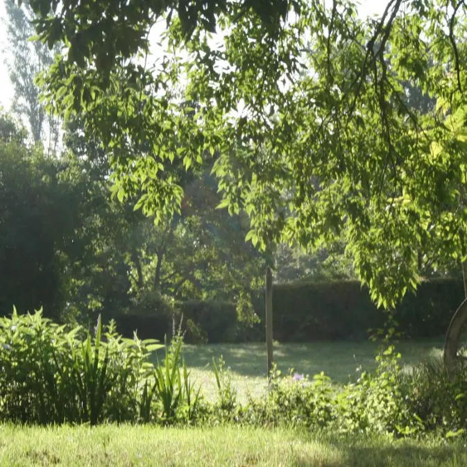 ladonzelle_monsaguel_jardin