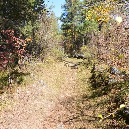 le causse de Paussac