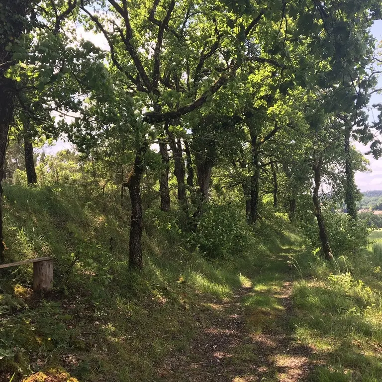 st-germain-du-salembre-chemin-de-la-messe