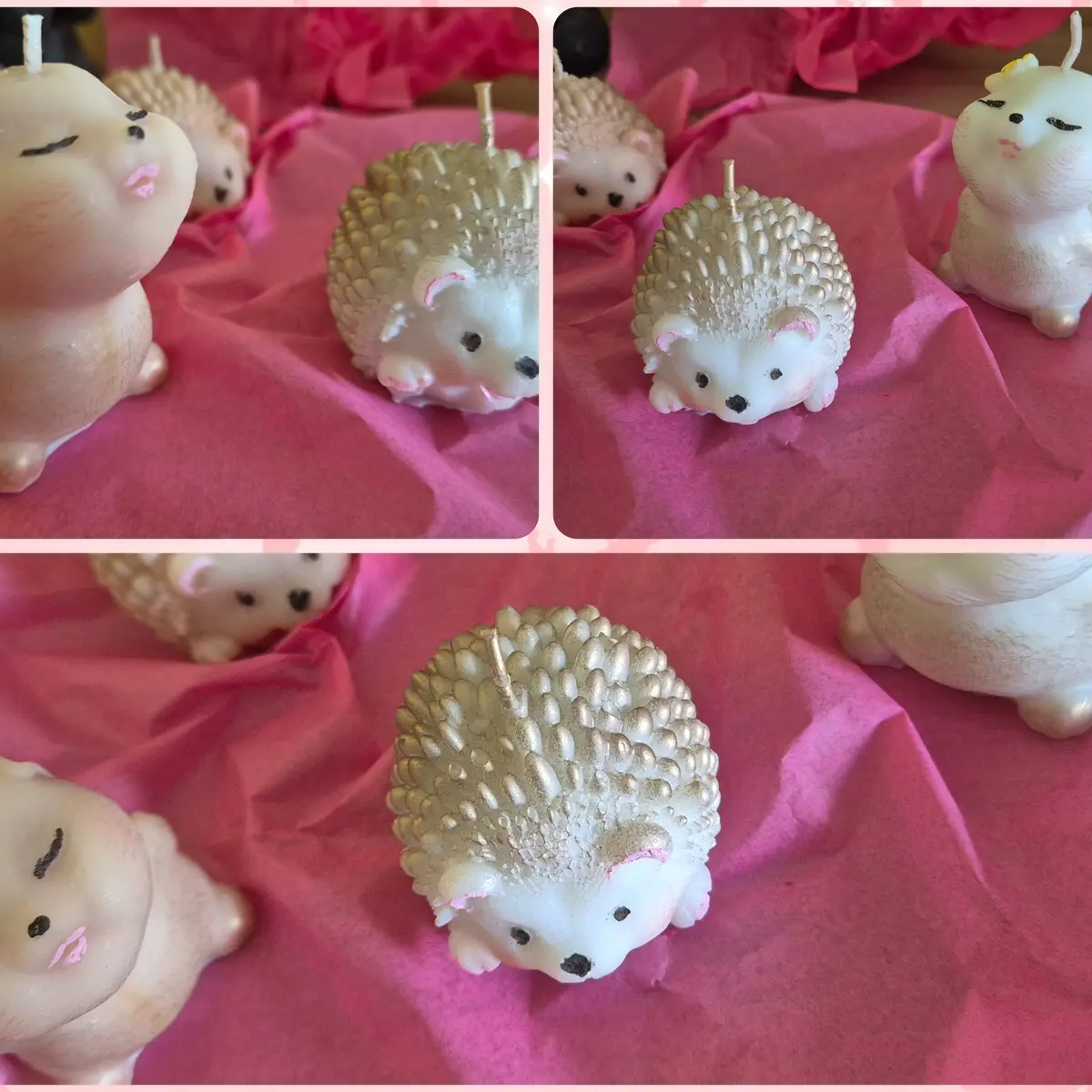 507794394_122137100750747577_3614544650813937077_n