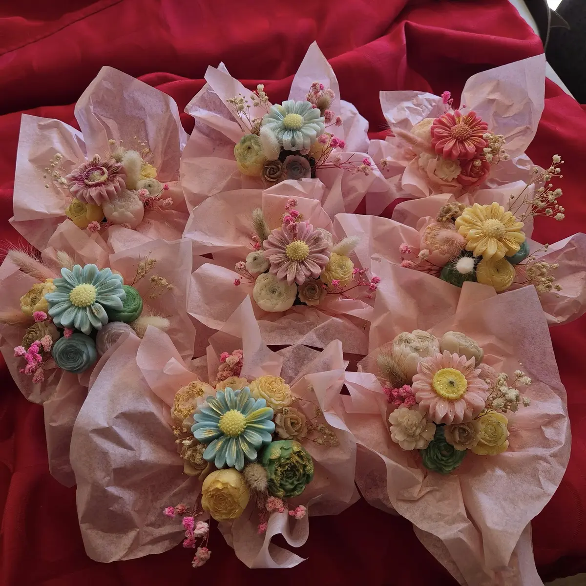 509356137_122137728662747577_8853041187839252106_n