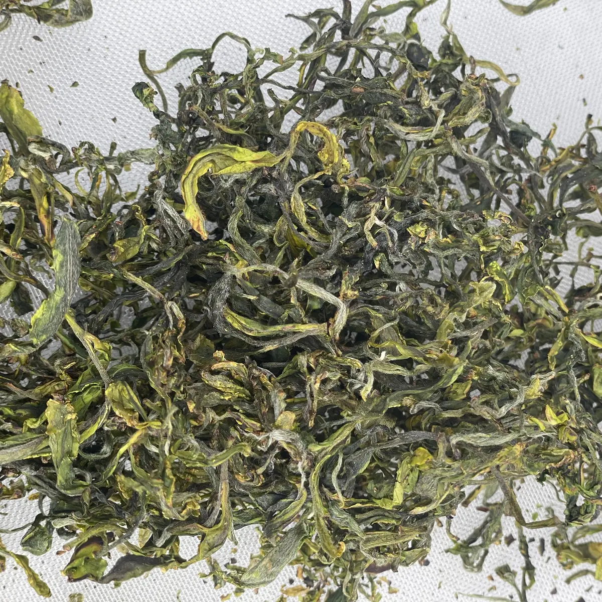 Maison du thé breton - Quimper - Bigoudenjoy