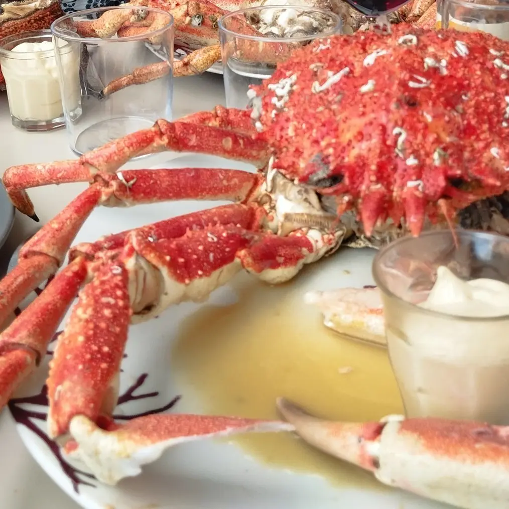 514350697_24449706814624056_6283947344365828848_n