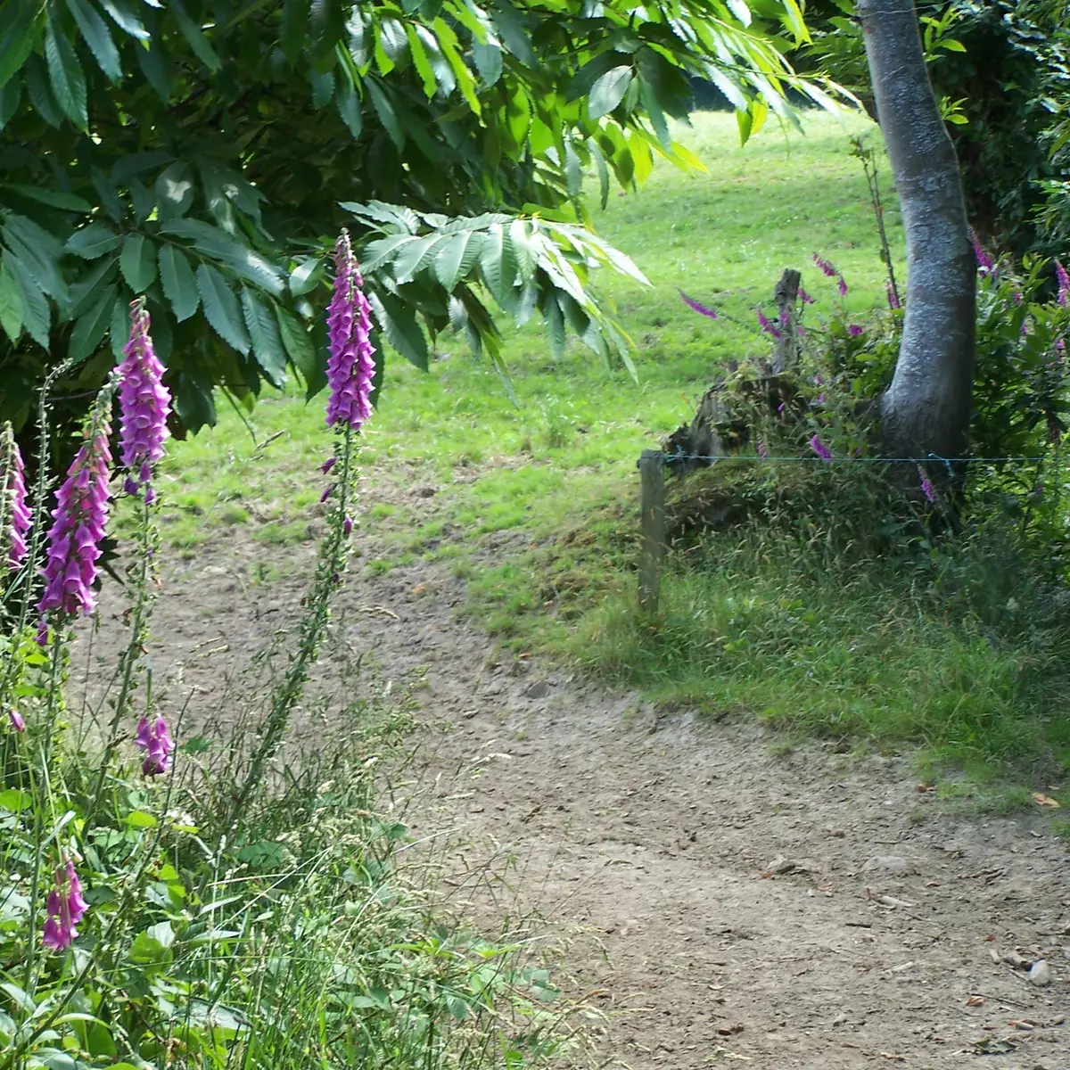 ©CdC Pays de Dol BMSM Vieux Viel - Circuit panoramique