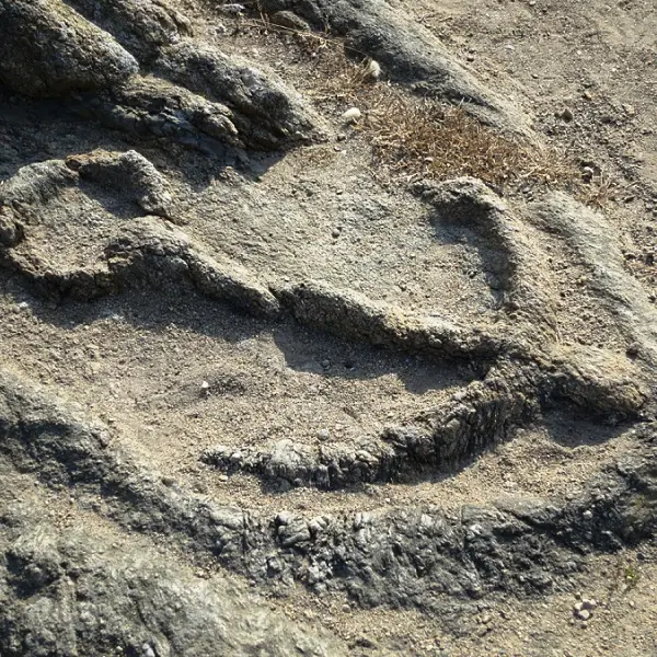 ©Aurélien Ferlito - Ancre de l'Abbé Fouré