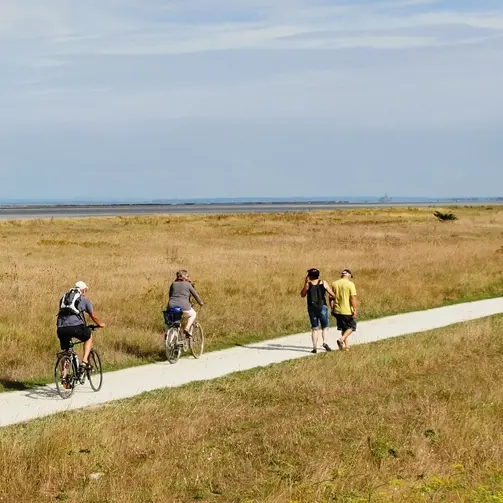 ©SMBMSM - Voie verte Hirel