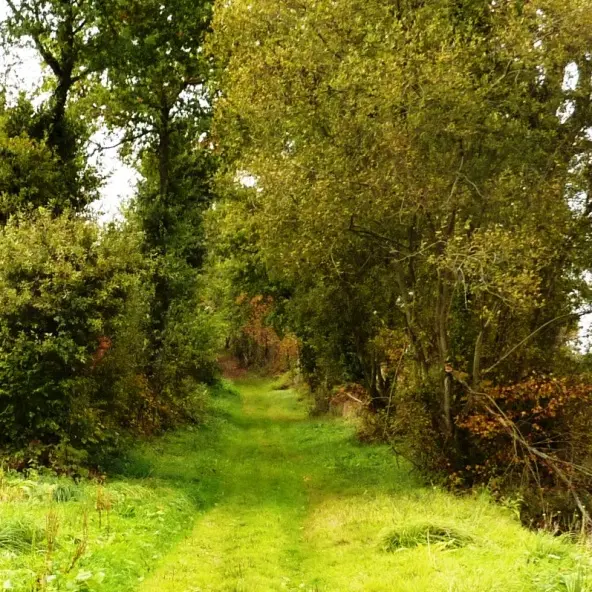 ©SMBMSM - sentier Epiniac