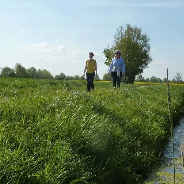 ©SMBMSM Marais blanc La Fresnais