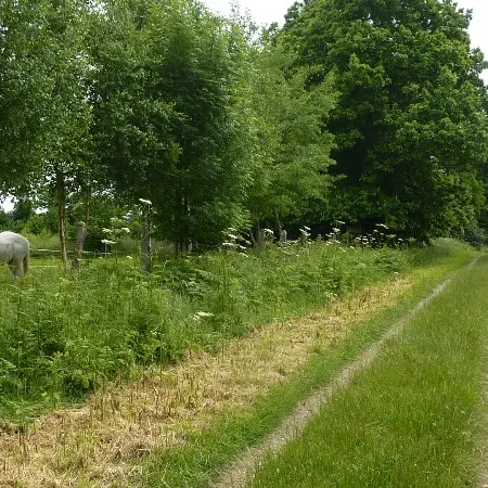 ©PIT SMBMSM - Campagne Québriac