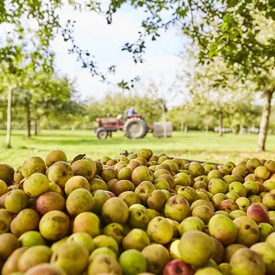 Domaine de Kerveguen (3)