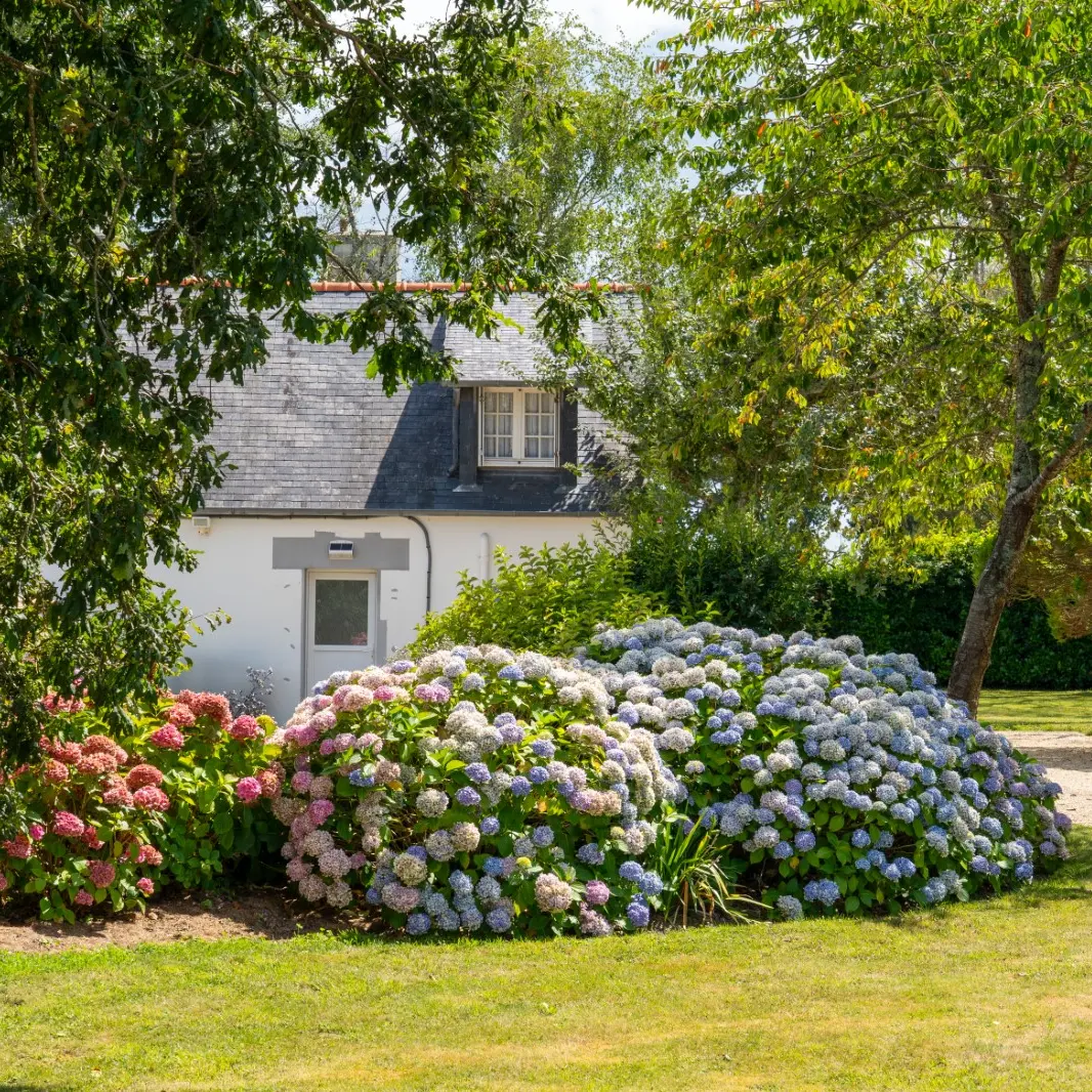 1c568d2b-74ae-42df-801d-3285a75933a2