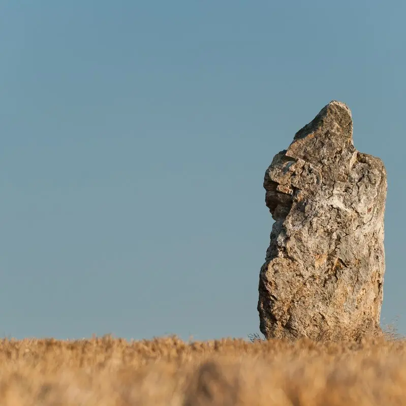 Les mégalithes de Lampouy