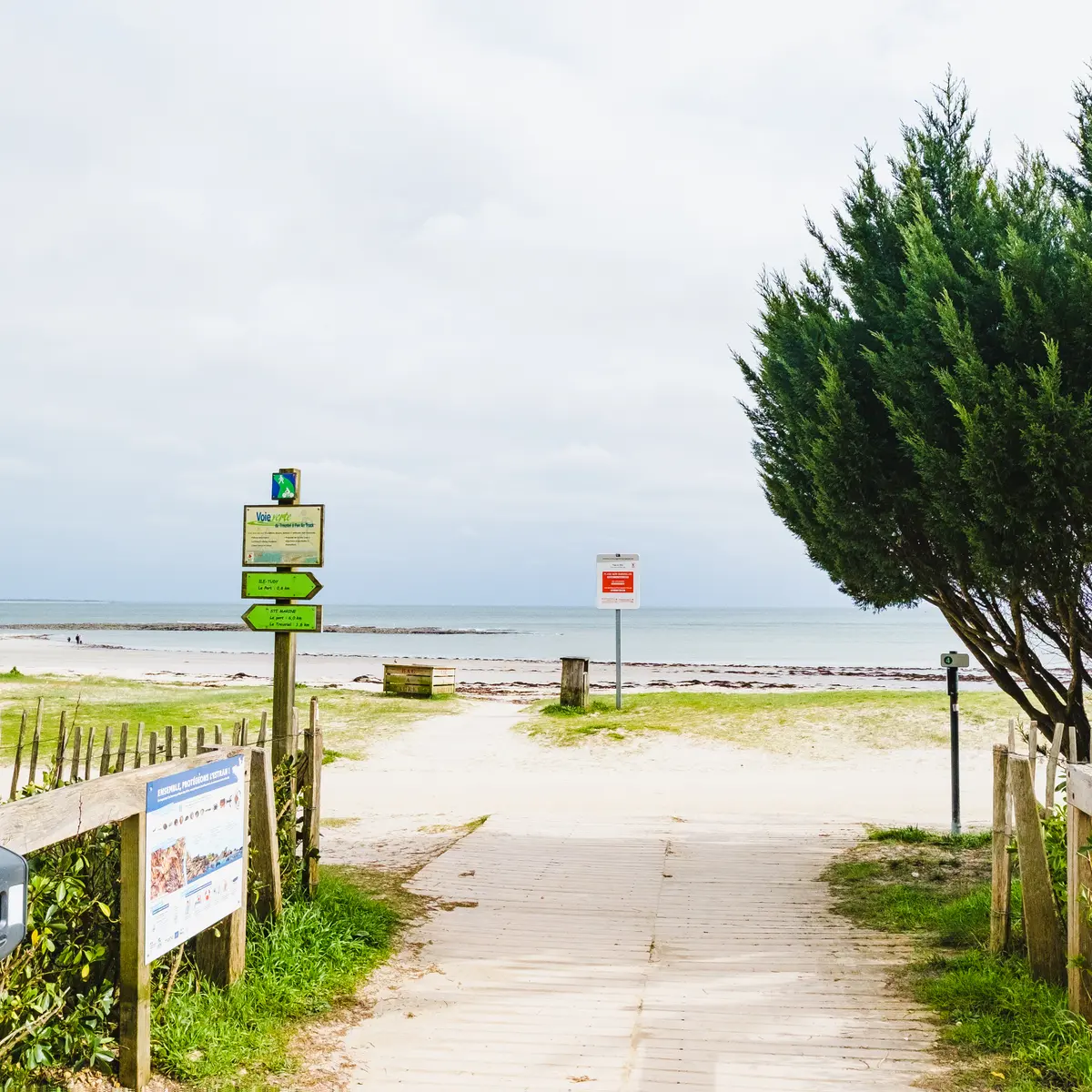 Le long des plages de l'Île-Tudy - Ile-Tudy - Pays bigouden