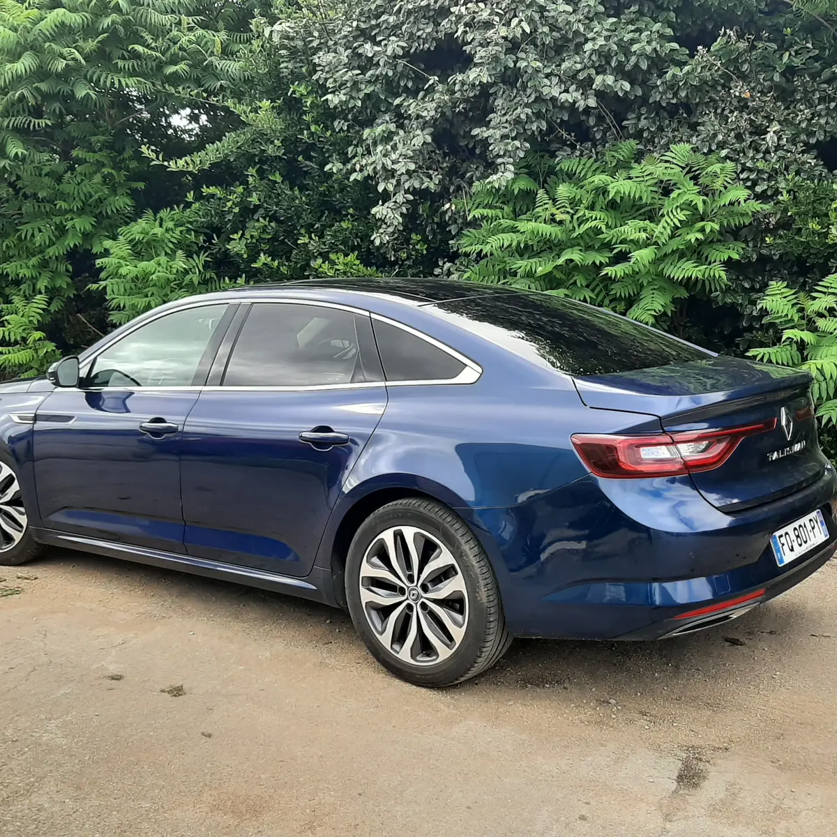 Griffon Jean François