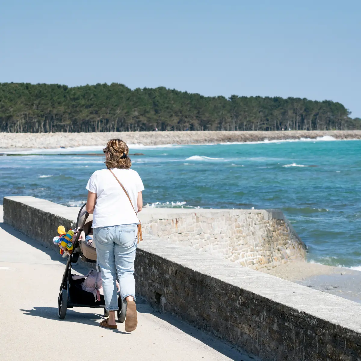 2025_0409_Bretagne_Finistère_Fouesnant_Earth_DSC09521_RLe