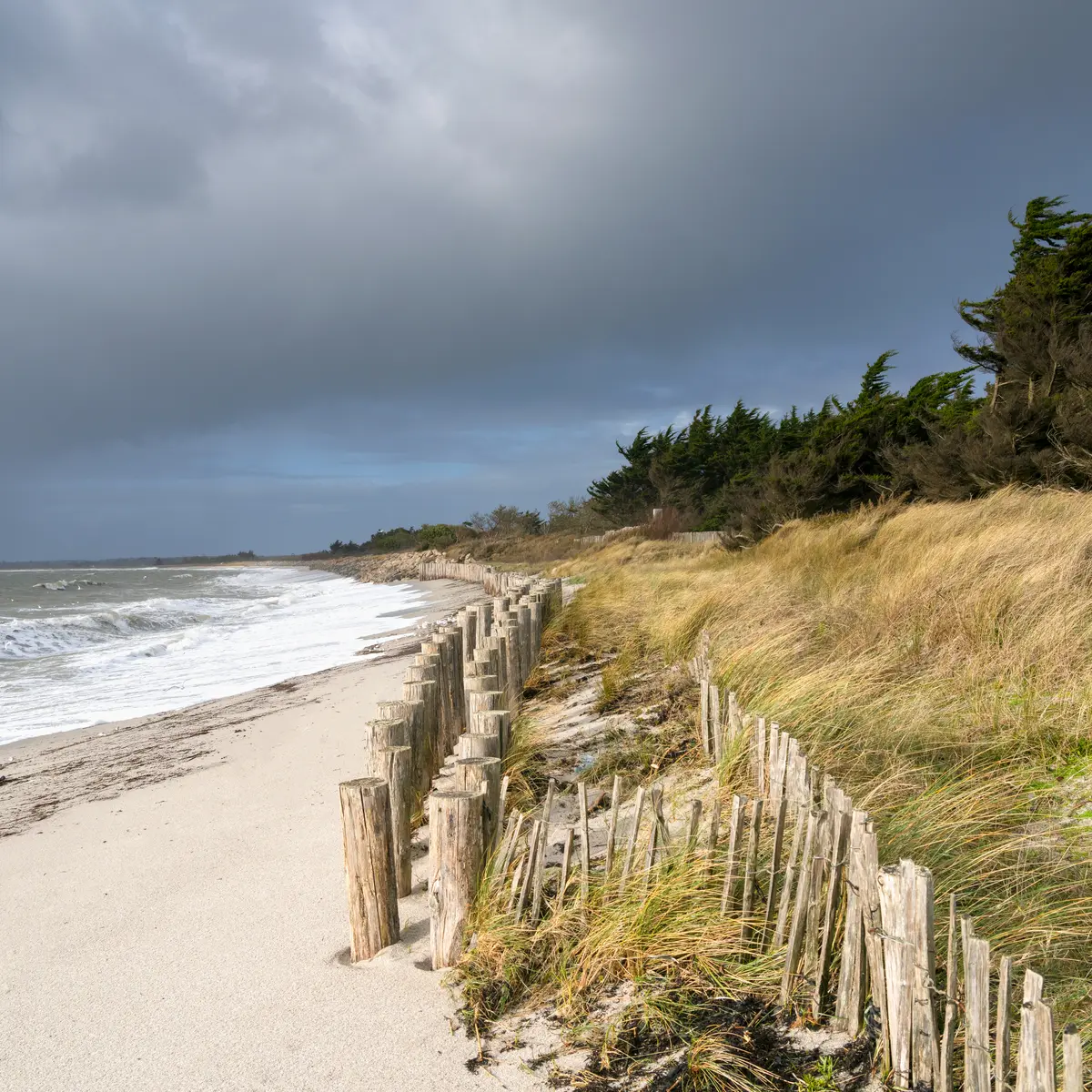 2025_0128_Bretagne_Finistère_Fouesnant_Mousterlin_DSC03841_RLe