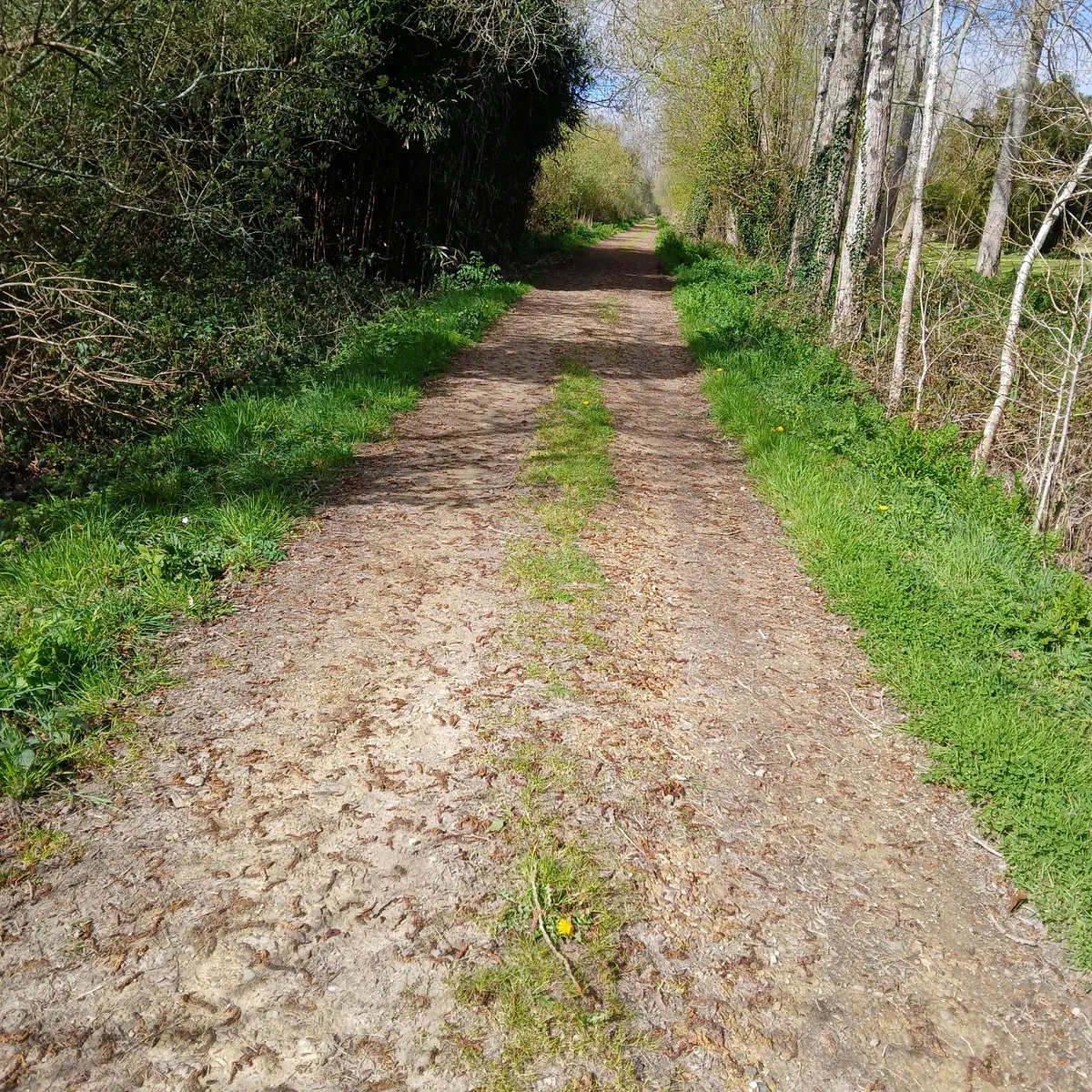 Balade de Saint Ronan - Plozévet - Pays bigouden