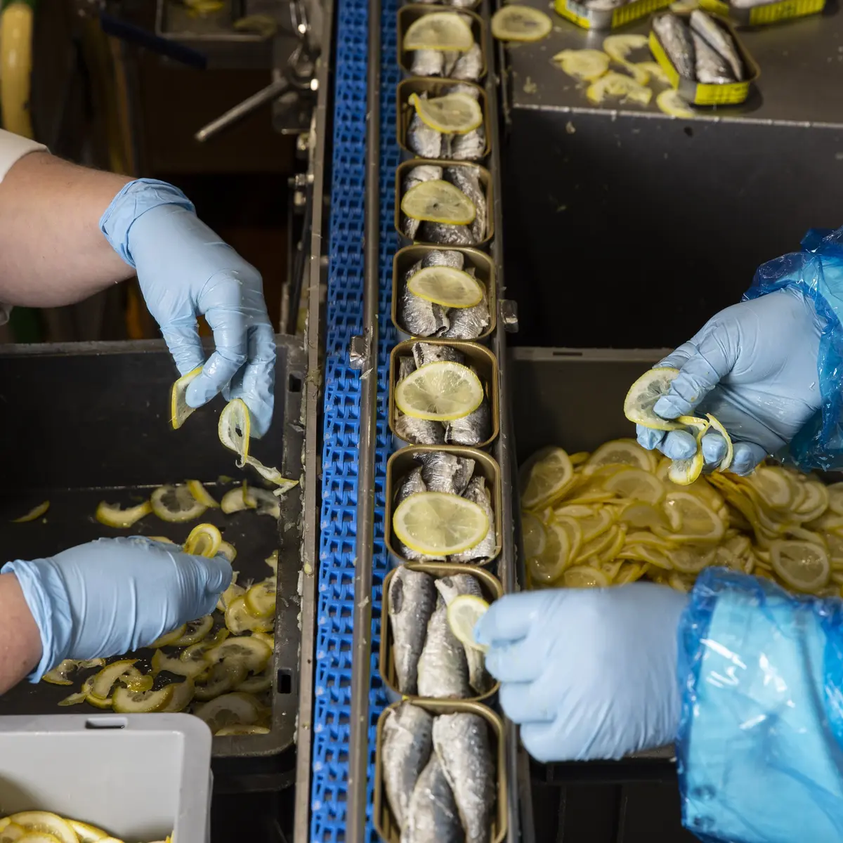 3 - Ligne de production - la belle-iloise