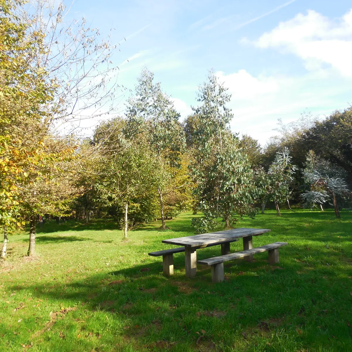 table extérieure arboretum Beffou