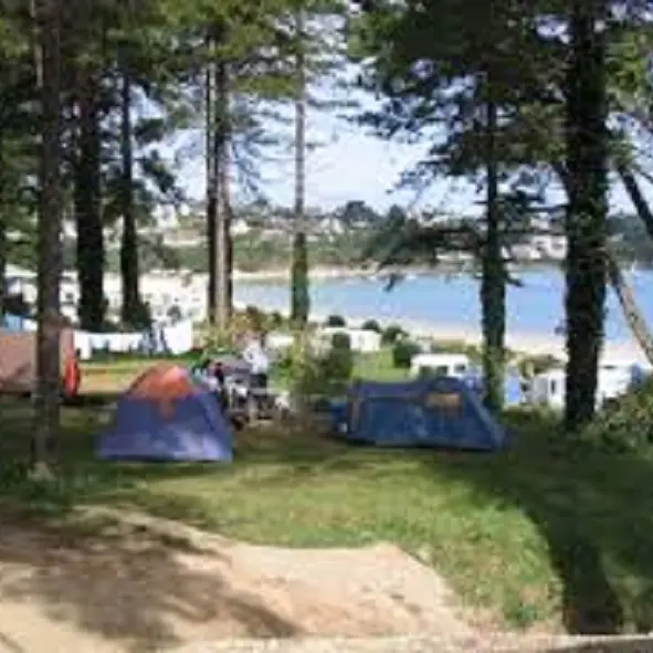 telechargement--1--67