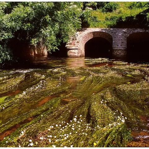 viaduc Trégrom ondine Christian Le Gac