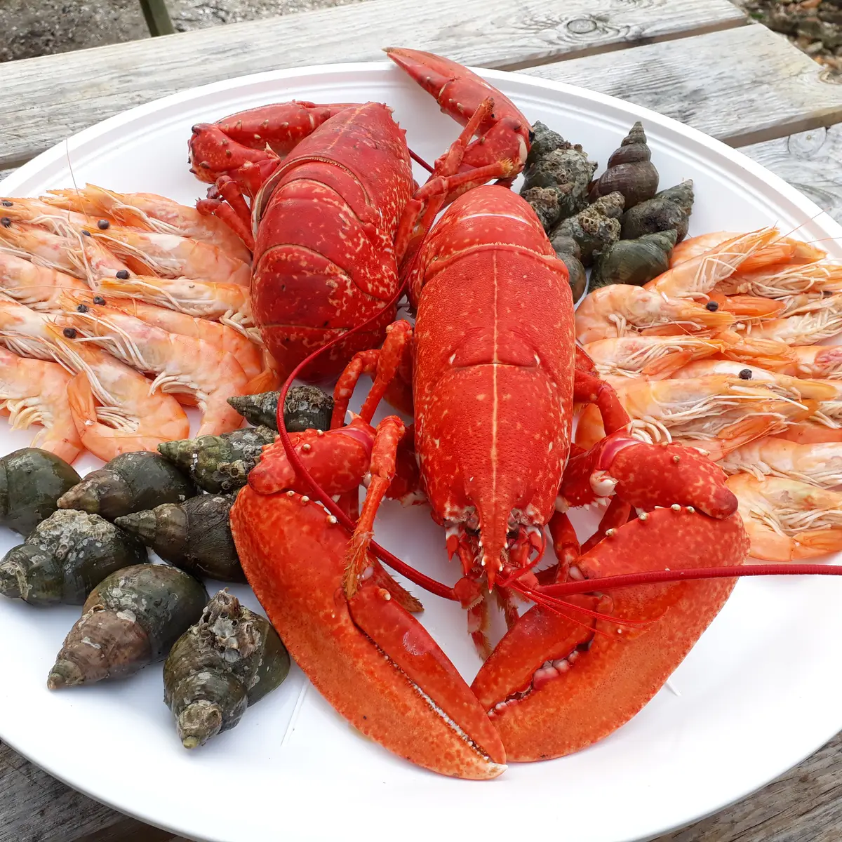 Plateau de fruits de mer