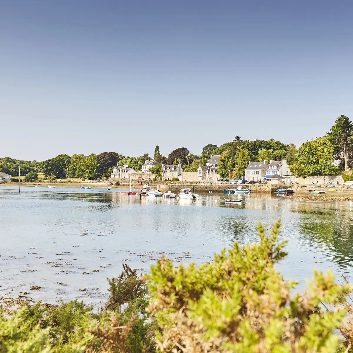 Vieux Port