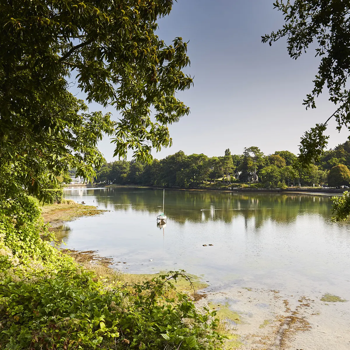 Anse de La Forêt