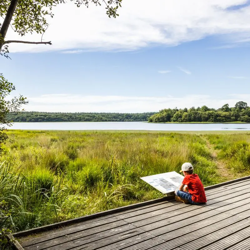 Etang et rigole du Boulet