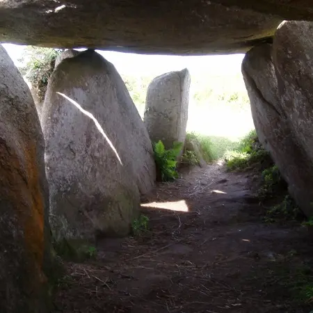 Allée couverte de L'Ile Grande
