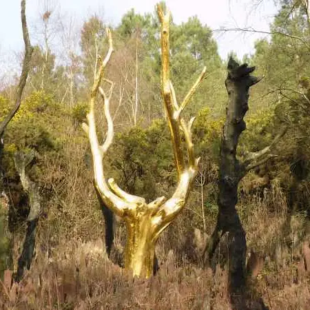 Arbre_d_Or