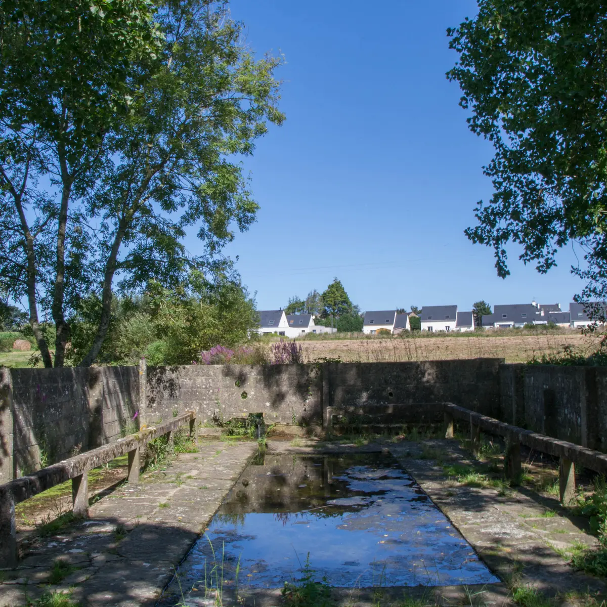 Balade vélo poullan (2)