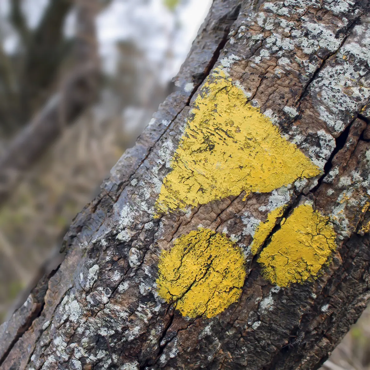 Boucle VTT n°2 Combrit - Combrit Sainte-Marine - Pays Bigouden