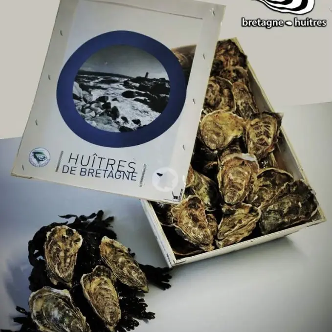 Bretagne-huitres-2