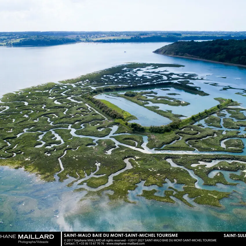 Vestiges Camp Viking Saint-Suliac