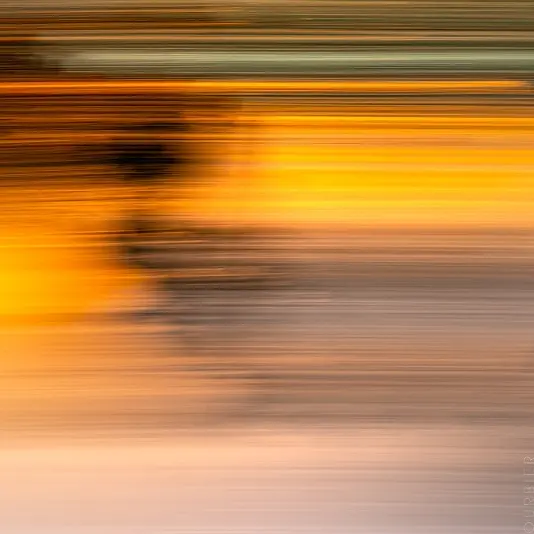 Candide-Camera-Galerie-d-art-Dinard-Ondes-II-4