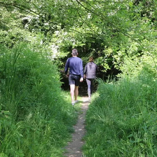 Chemins_de_randonnee_-_Saint-Jouan-des-Guerets-SMBMSM-3173-1200px