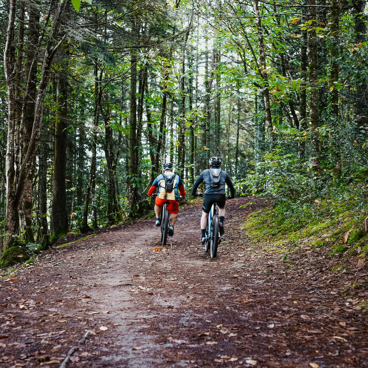 Boucle VTT n°2 Combrit - Combrit Sainte-Marine - Pays Bigouden
