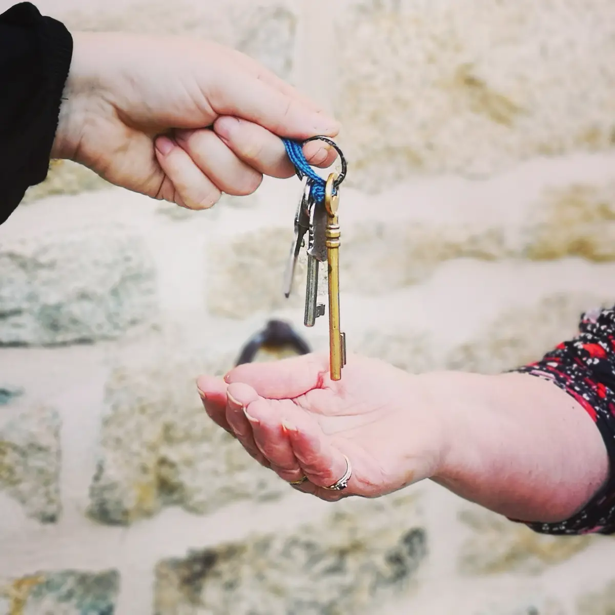 Conciergerie Saint Ronan - Plozévet - Pays Bigouden