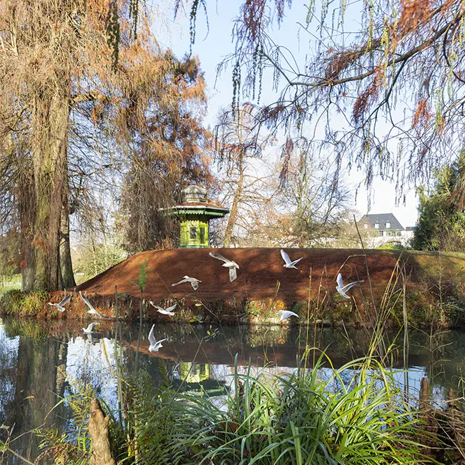 Cyprès chauve - décembre 2020 -01 compréssé (004)