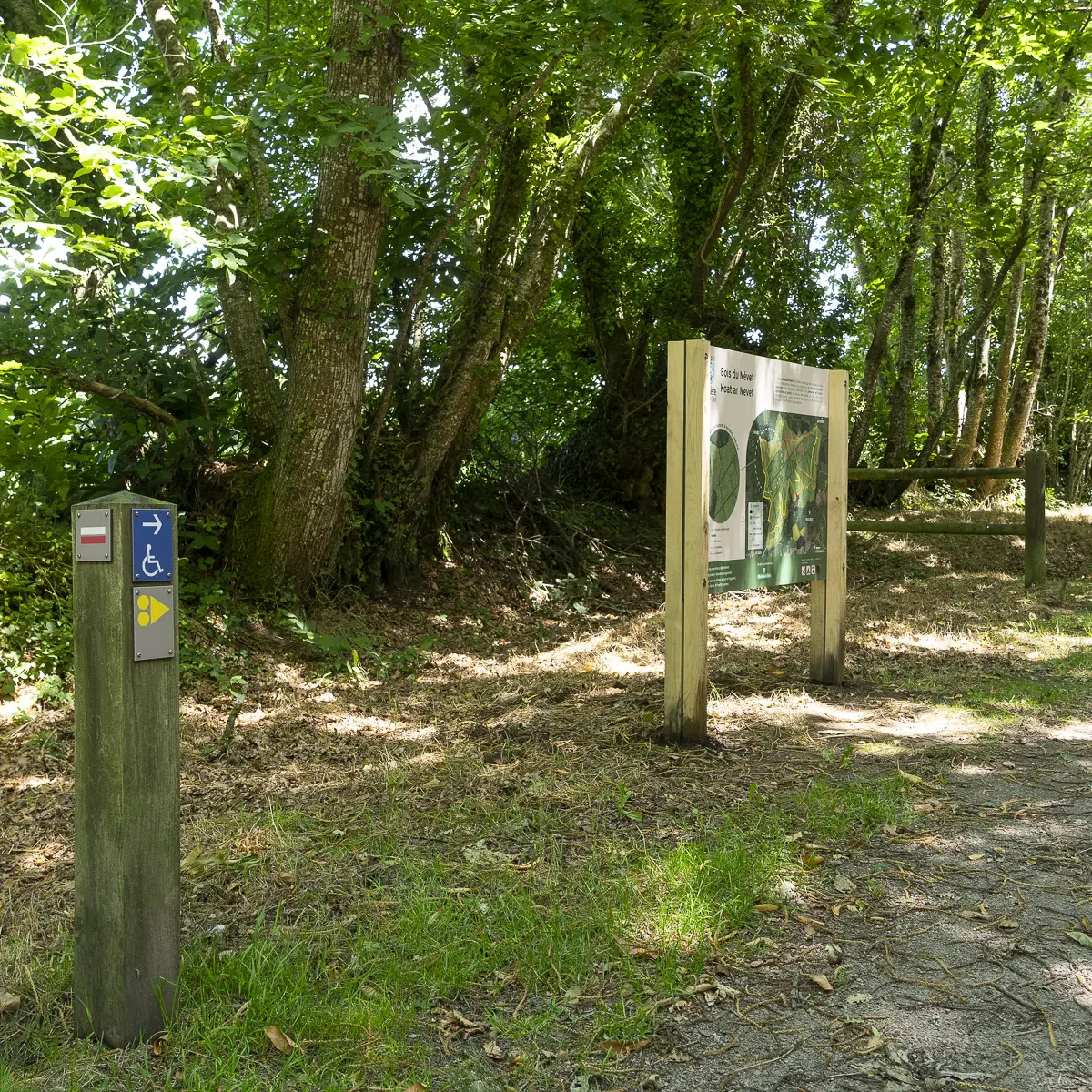 Elise FOURNIER - Bois du Névet PMR