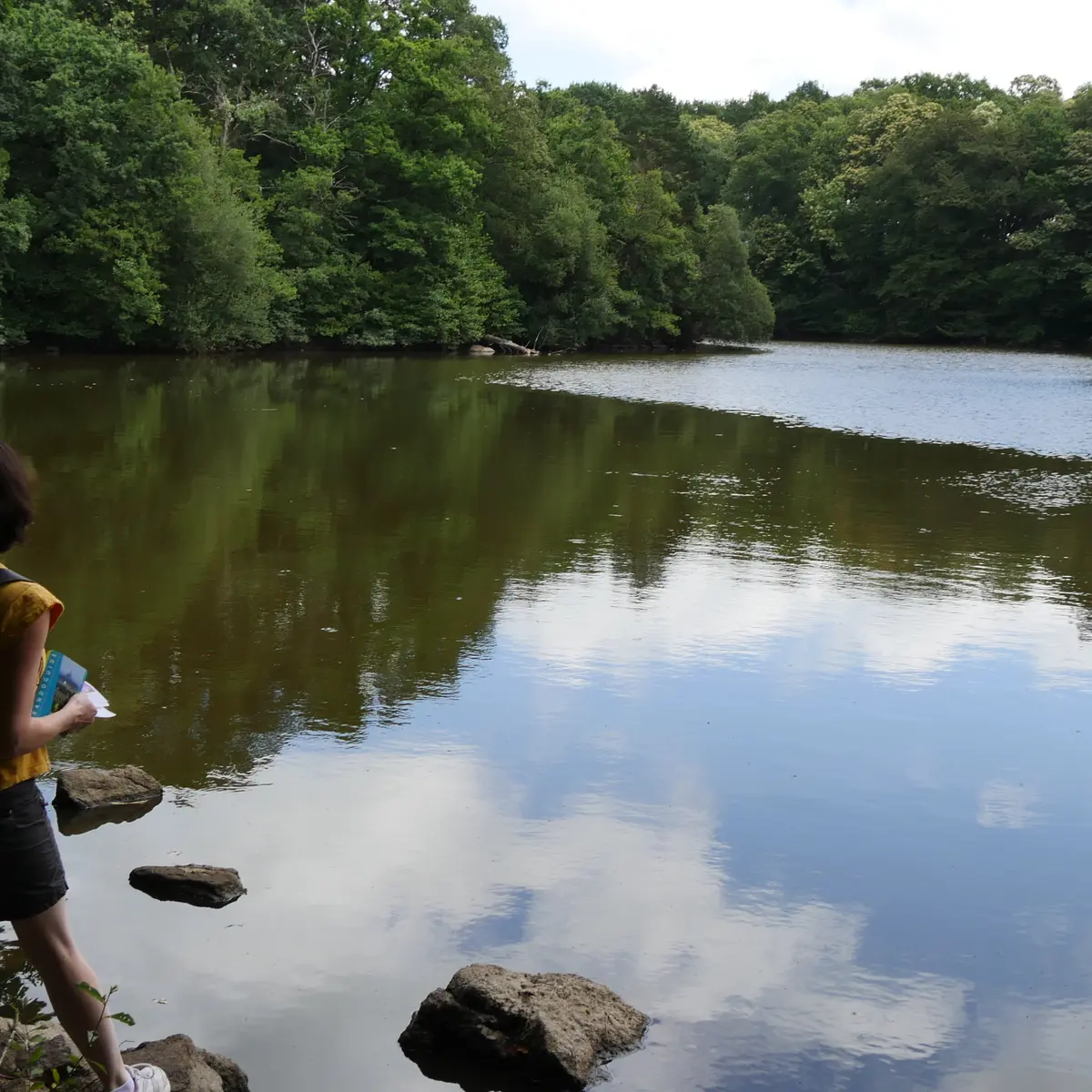 Etang Parc de la Higourdais